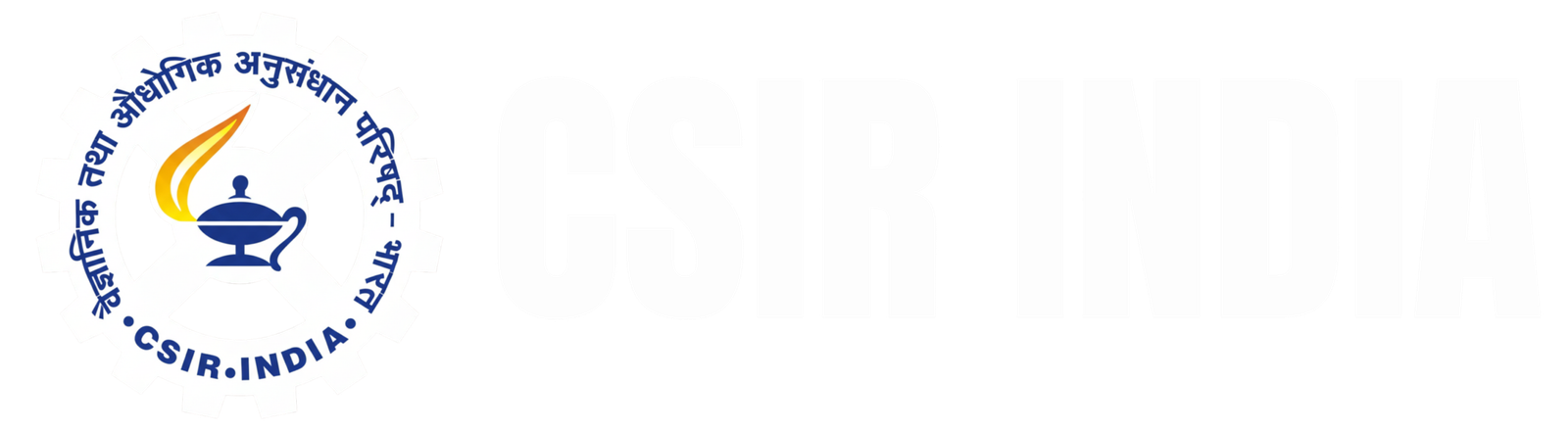 HAND IN HAND INDIA (14)